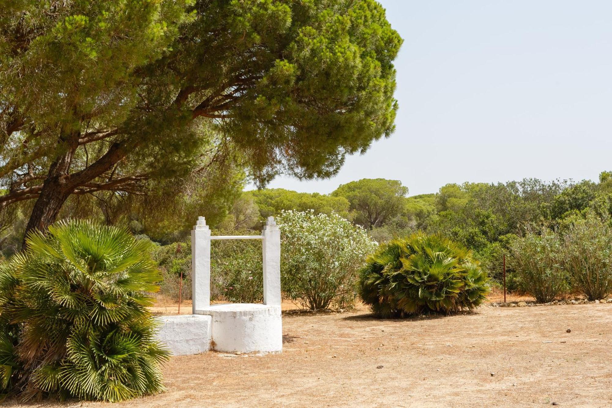 Casa Dehesa De Las Yeguas Cadix Extérieur photo
