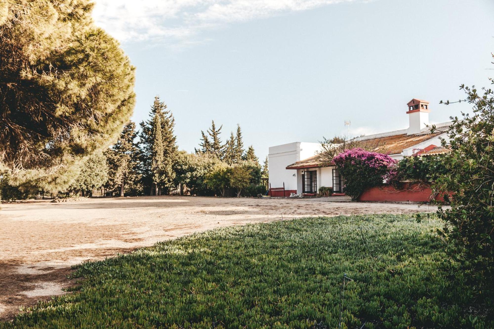 Casa Dehesa De Las Yeguas Cadix Extérieur photo